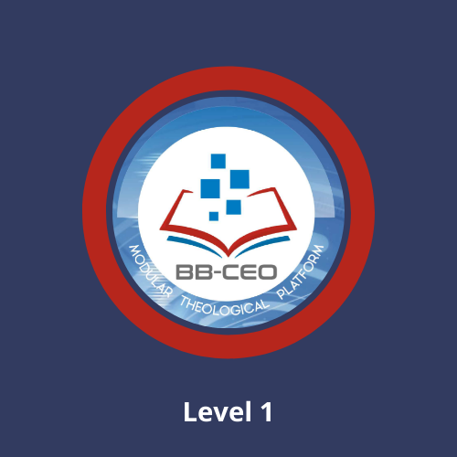 BB-CEO Level 1